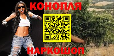 прущие грибы Обь