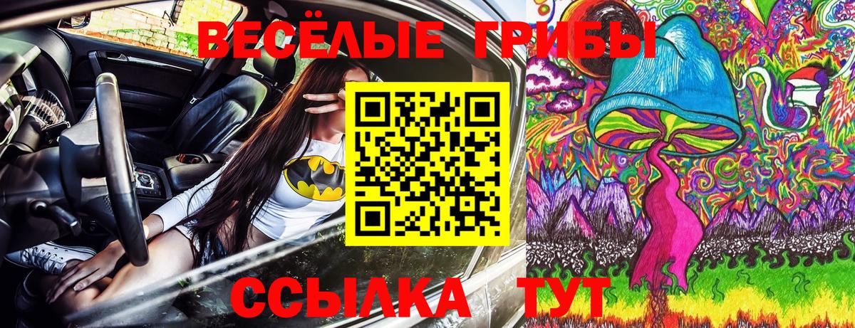 где продают   Галлюциногенные грибы Psilocybine cubensis  Вход с VPN  Тихорецк 